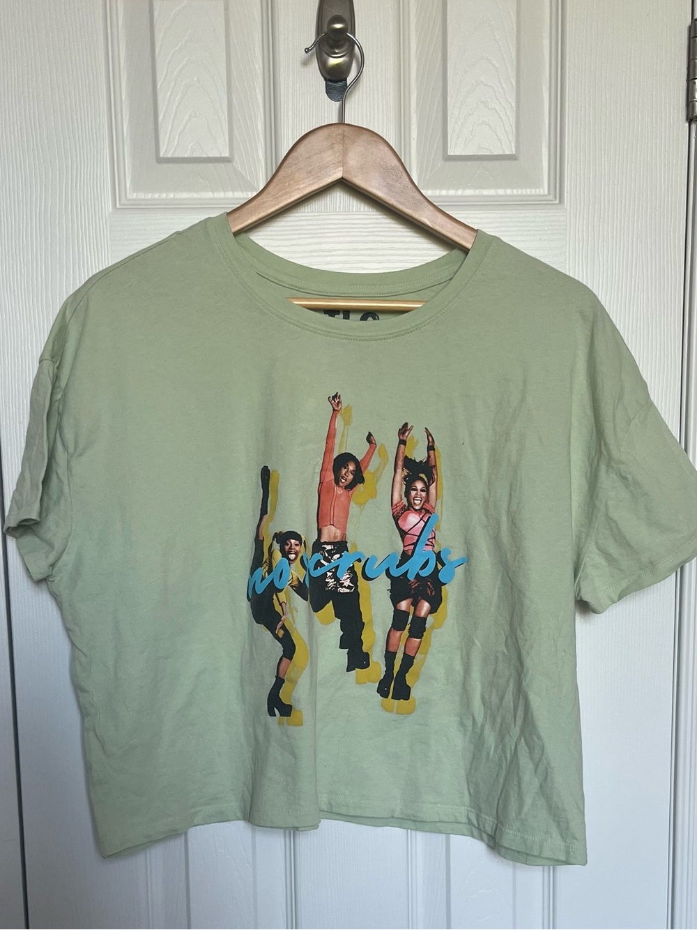 TLC Graphic Tee Light Sage Green Crewneck Cropped